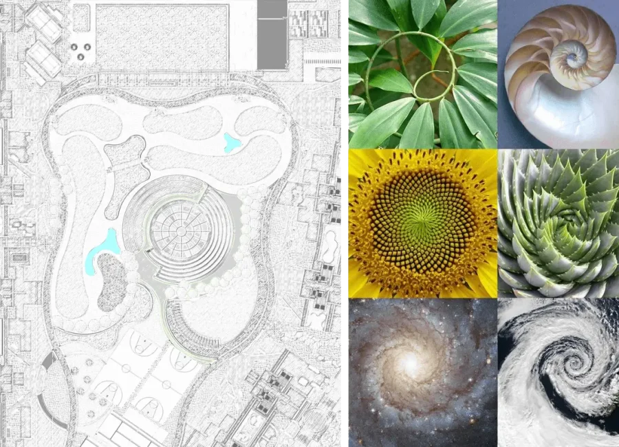 Lsta-Picture-optimized